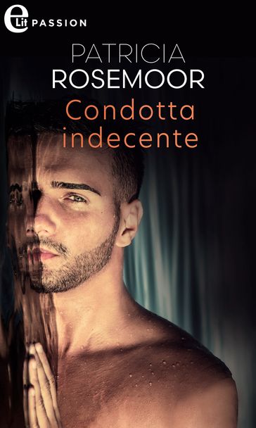 Condotta indecente (eLit)
