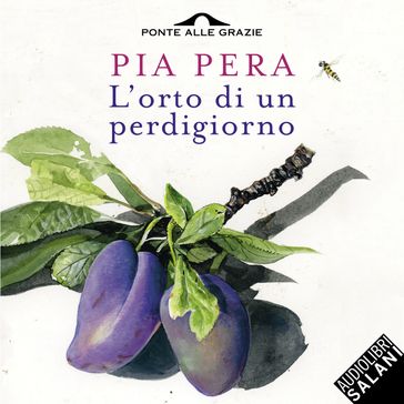 L'orto di un perdigiorno