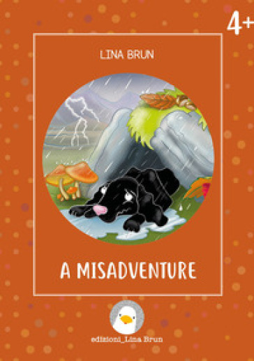 A misadventure. Ediz. illustrata