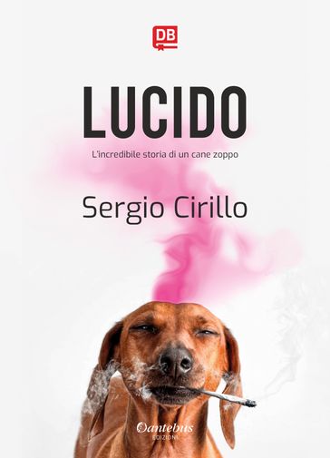 Lucido-0