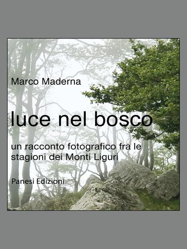 luce nel bosco