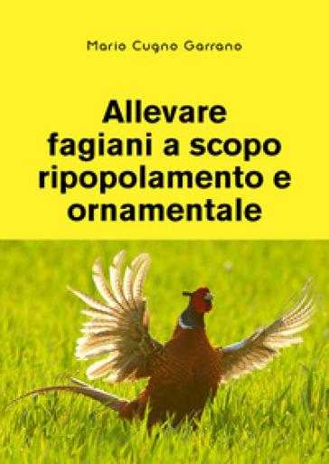 Allevare fagiani a scopo ripopolamento e ornamentale