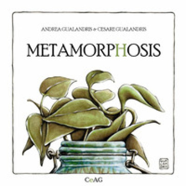 Metamorphosis