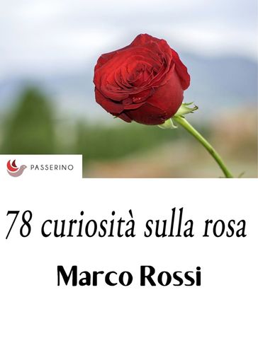 78 curiosità sulla rosa