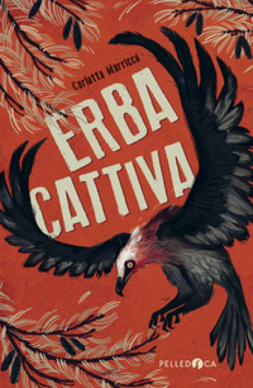 Erba cattiva