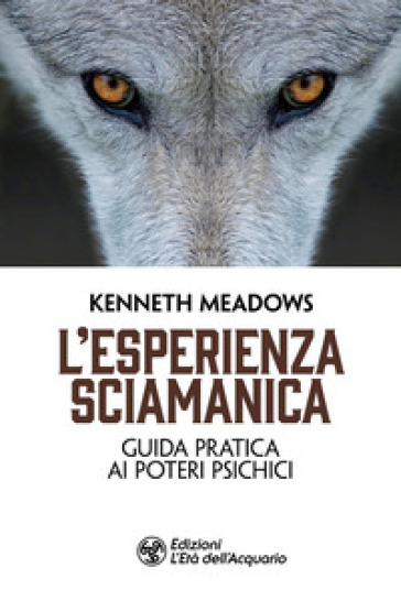 L'esperienza sciamanica. Guida pratica ai poteri psichici