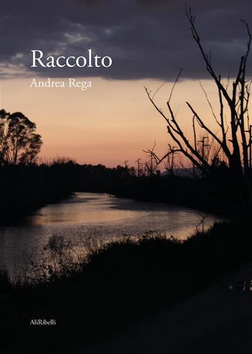 Raccolto