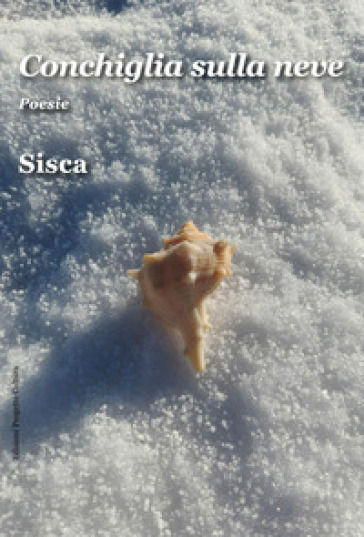 Conchiglia sulla neve