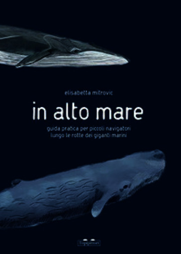 In alto mare. Guida pratica per piccoli navigatori lungo le rotte dei giganti marini. Ediz. a colori