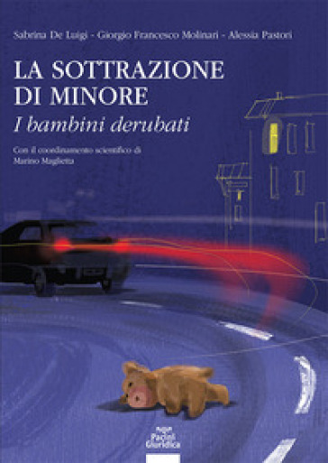 La sottrazione di minore. I bambini derubati
