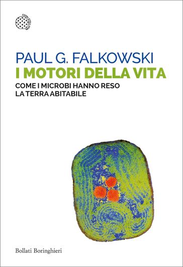 I motori della vita