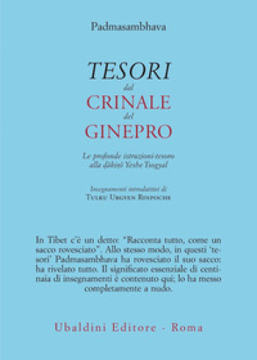 Tesori dal crinale del ginepro. Le profonde istruzioni-tesoro alla d¿kin¿ Yeshe Tsogyal