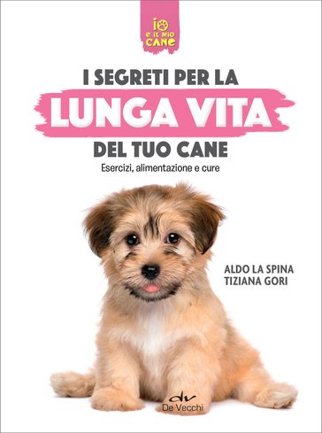 I segreti per la lunga vita del tuo cane