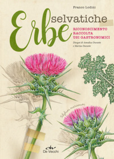 ERBE SELVATICHE. RICONOSCIMENTO. RACCOLT