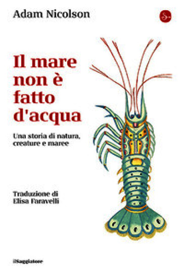 Il mare non è fatto d'acqua. Una storia di natura, creature e maree