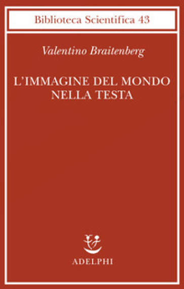 L'immagine del mondo nella testa