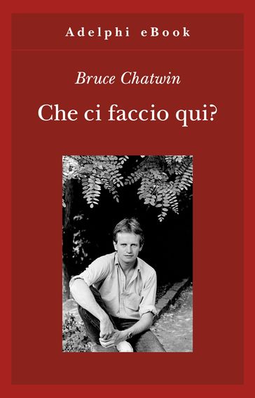 Che ci faccio qui?