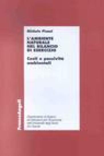 L'ambiente naturale nel bilancio di esercizio. Costi e passività ambientali