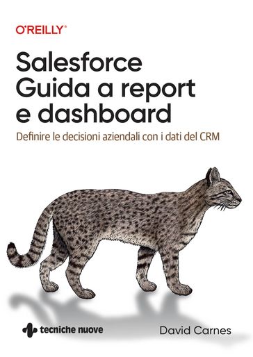Salesforce  Guida a report e dashboard