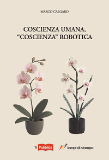 Coscienza Umana, «Coscienza» Robotica