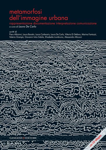 Metamorfosi dell'immagine urbana