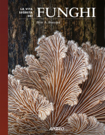 La vita segreta dei funghi