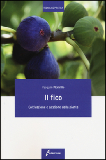 Il fico. Coltivazione e gestione della pianta