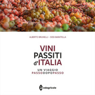 Vini passiti d'Italia. Un viaggio passo dopo passo. Ediz. a colori