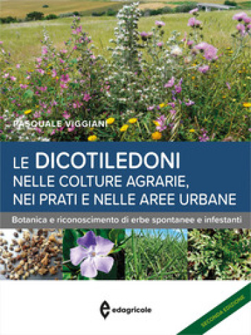 Le dicotiledoni nelle colture agrarie, nei prati e nelle aree urbane. Botanica e riconoscimento di erbe spontanee e infestanti