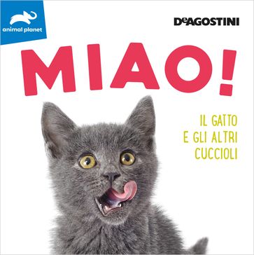MIAO!