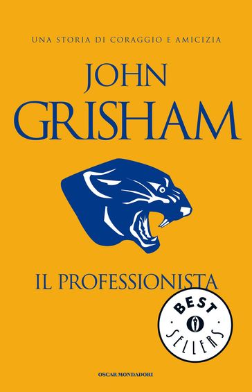 Il Professionista
