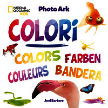 Colori. Ediz. illustrata