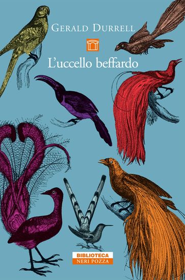 L'uccello beffardo