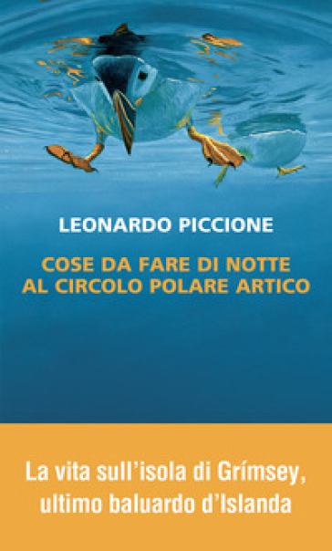 Cose da fare di notte al circolo polare artico