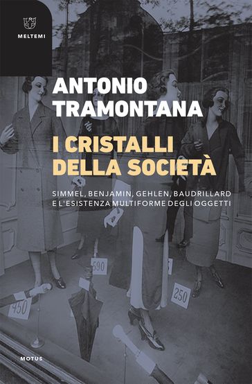 I cristalli della società