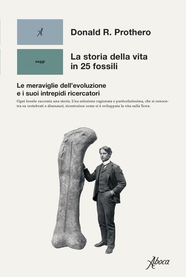 La storia della vita in 25 fossili