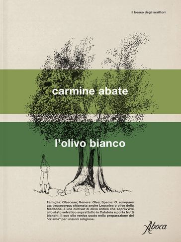 L'olivo bianco