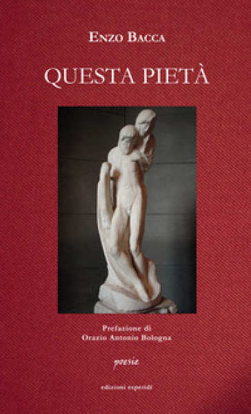Questa Pietà. Poesie