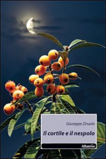 Il Cortile E Il Nespolo