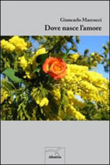 Dove Nasce L'amore