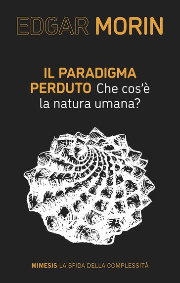 Il paradigma perduto