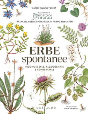 ERBE SPONTANEE. RICONOSCERLE, RACCOGLIER