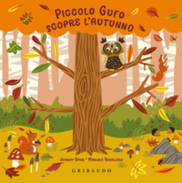 Piccolo Gufo scopre l'autunno. Ediz. a colori