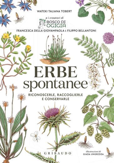 Erbe spontanee