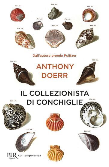 Il collezionista di conchiglie