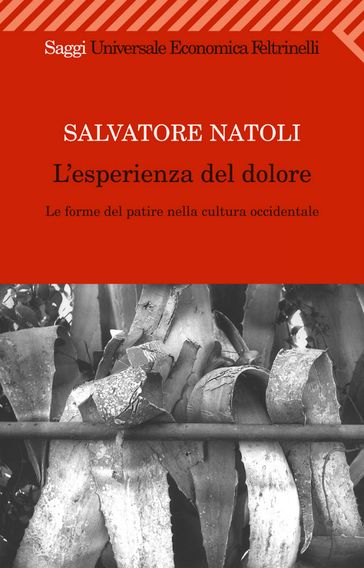 L'esperienza del dolore