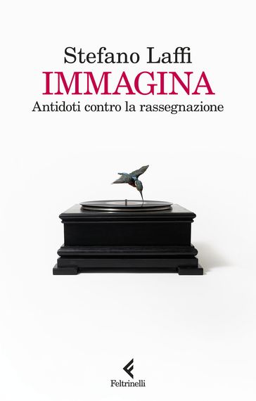 Immagina
