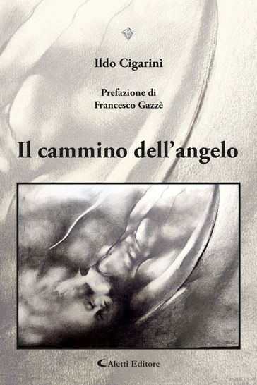 Il cammino dell'angelo