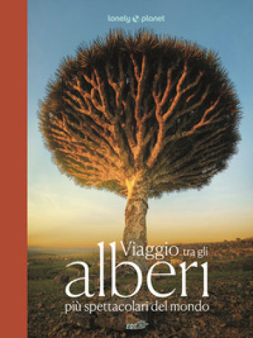 VIAGGIO TRA GLI ALBERI PI&Ugrave; SPETTACOLARI