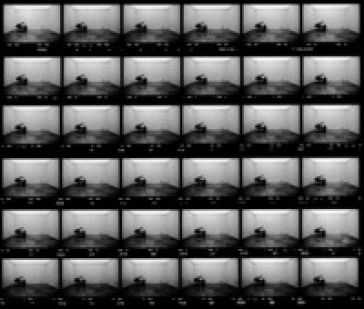 Ugo Mulas. Vitalità del negativo. Documenting the seminal exhibition of the Italian Avant-garde. Ediz. inglese